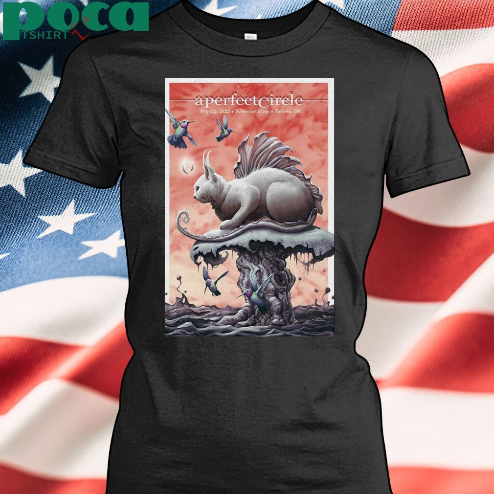 A Perfect Circle On May 22, 2025 In Toronto, ON Tour Poster shirt