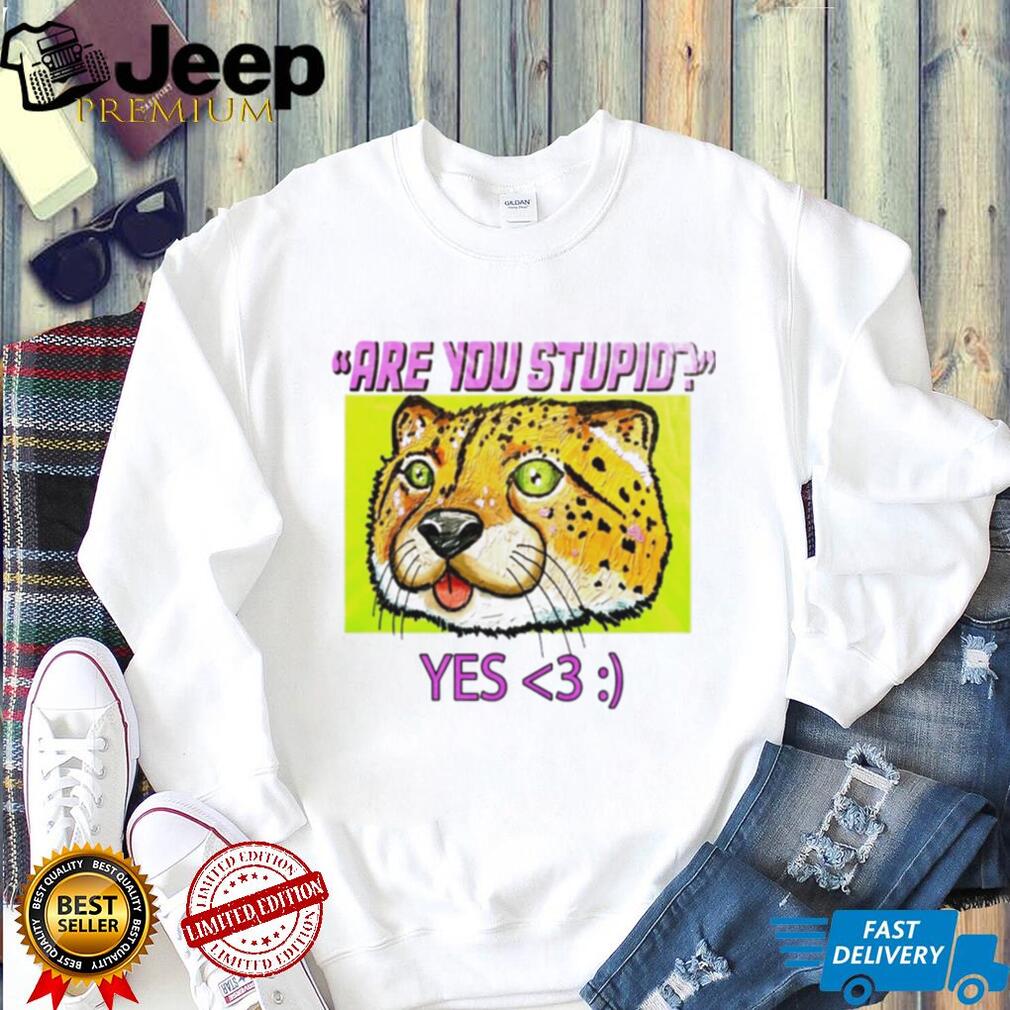 Are You Stupid Yes Cheetah cat funny shirt