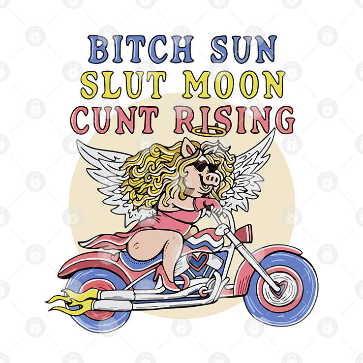 Bitch Sun Slut Moon Cunt Rising T Shirt