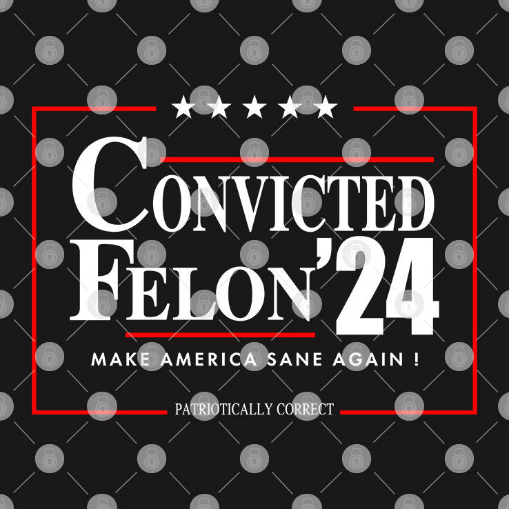 Convicted Felon 2024 Make America Sane Again T Shirt