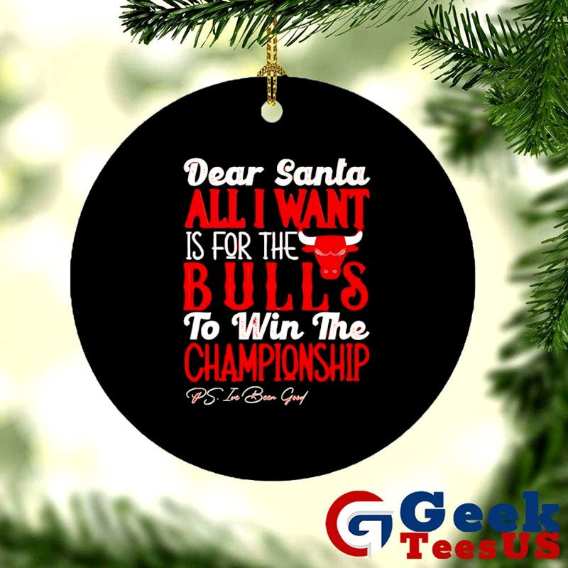 Dear Santa all I want is for the Chicago Bulls NBA to win the Championship shirt