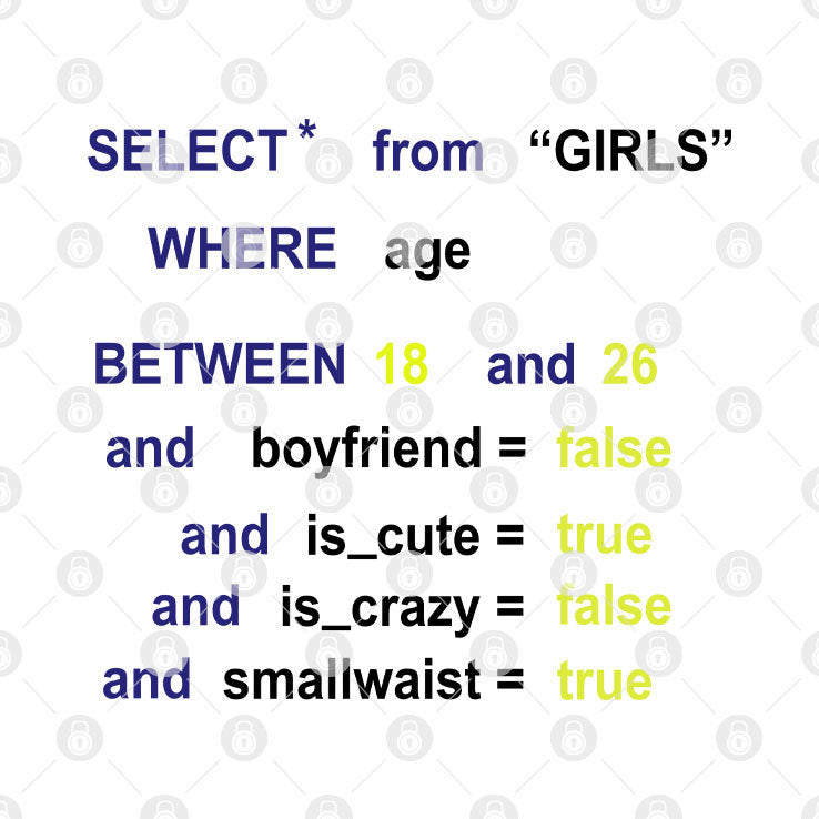 Funny SQL Enthusiasts Programmers Select From GIRLS Query Shirt