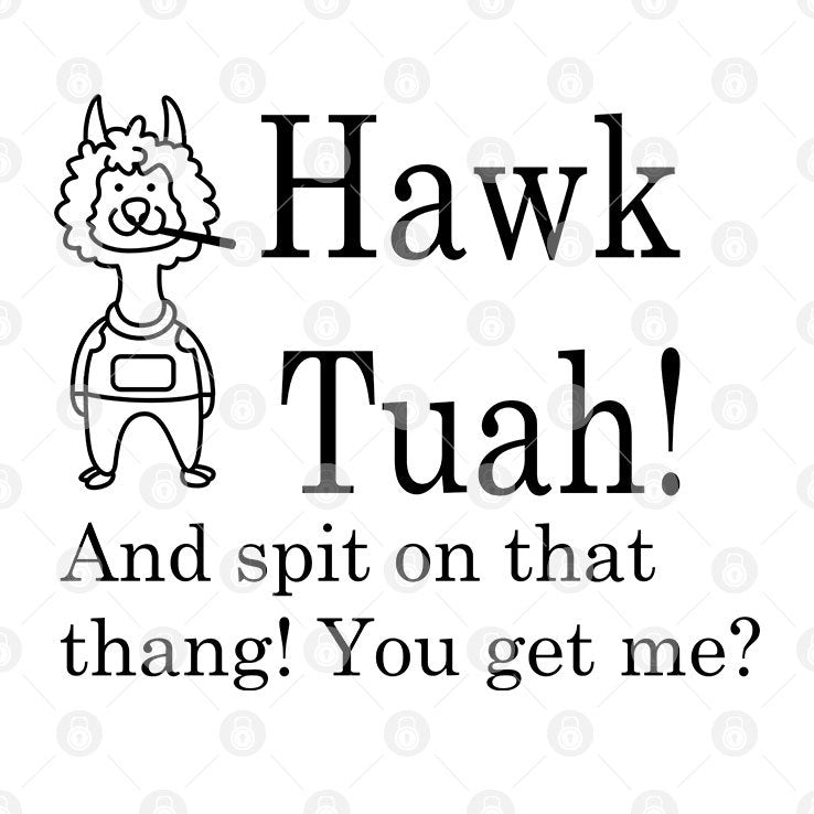 Hawk Tuah And Spit On That Thang You Get Me Shirt