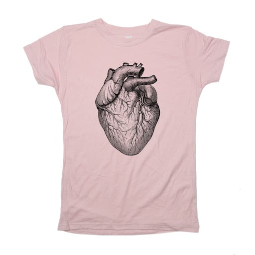 Human Heart Anatomical Illustration