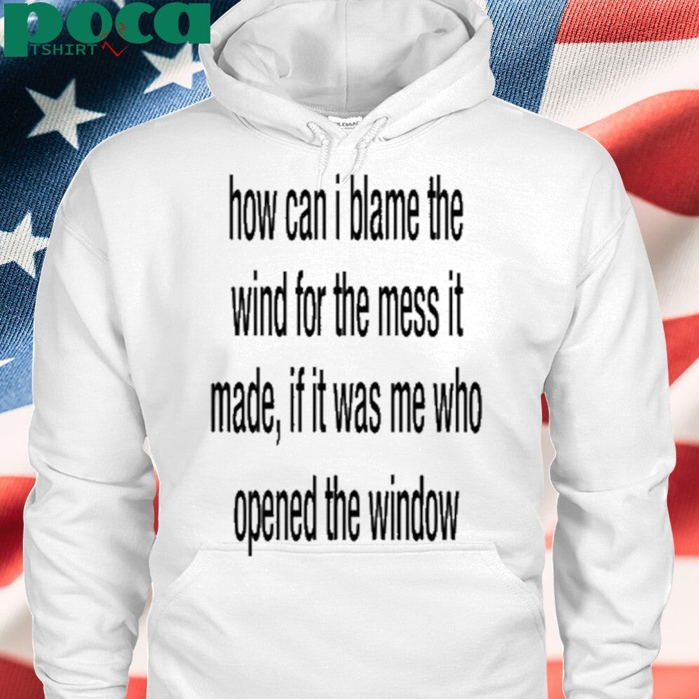 How Can I Blame The Wind For The Mess It Made shirt