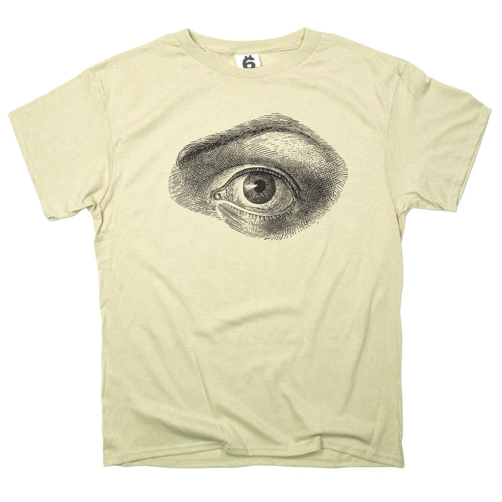 Human Eye Vintage Anatomical Illustration