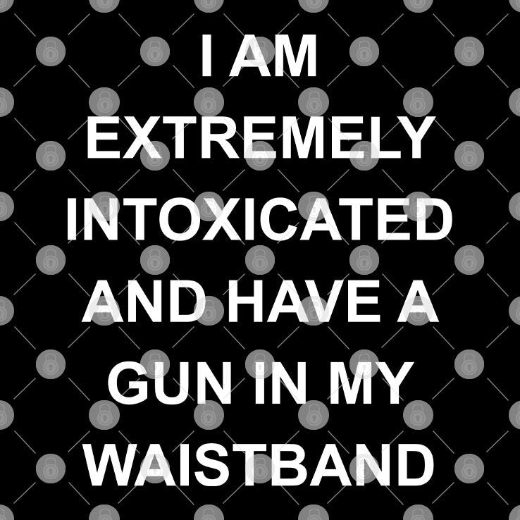 I Am Extremely Intoxicated And Have A Gun In My Waistband T Shirt