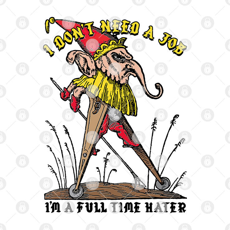 I Don’t Need A Job I’m A Full Time Hater T Shirt