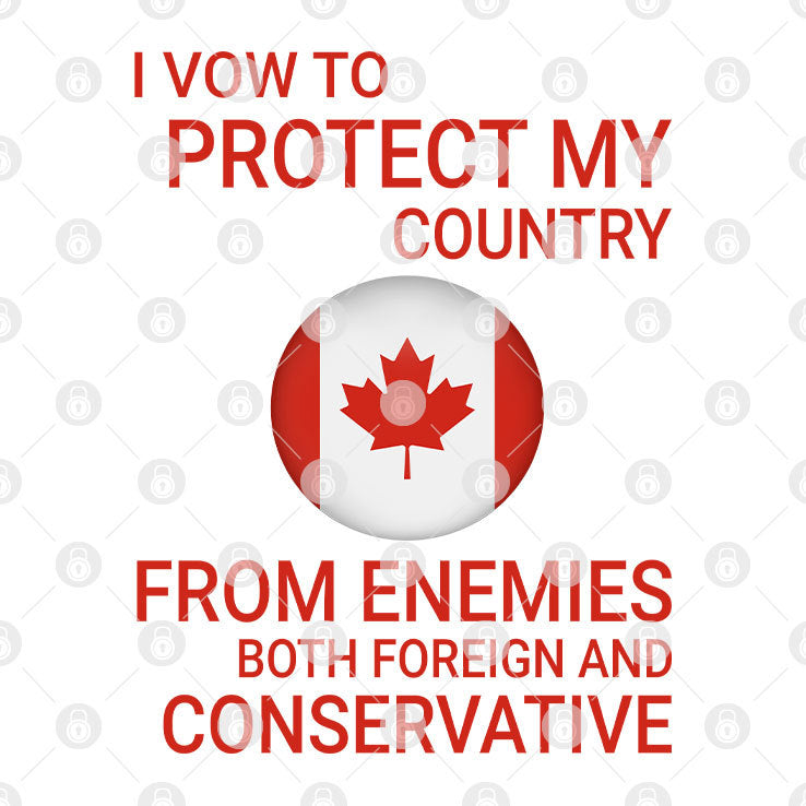 I Vow To Protect My Country From Enemies Both Foreign And Conservative Shirt