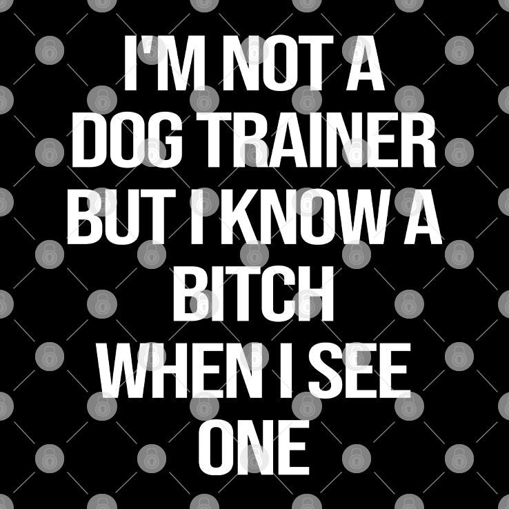 I’m Not A Dog Trainer But I Know A Bitch When I See One T Shirt