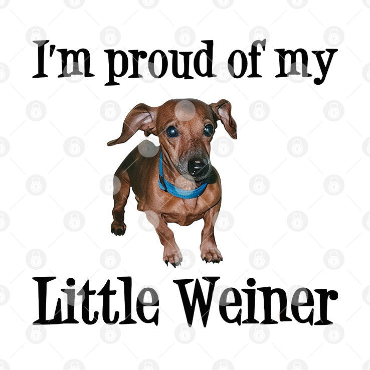 I’m Proud Of My Little Weiner Funny Wiener Dog Shirt