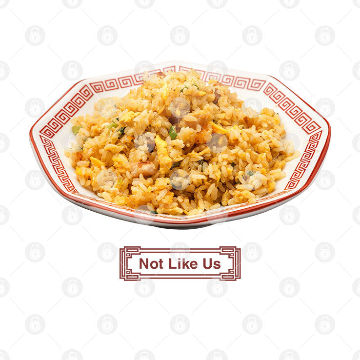 Not Like Us New Ho King Fried Rice T Shirt