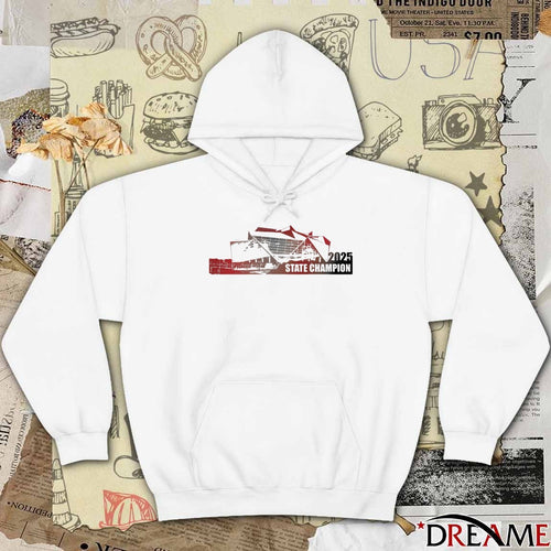 2025 State Champions Creekside Seminoles GHSA Class 4A Stadium t-shirt