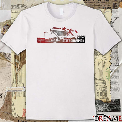 2025 State Champions Creekside Seminoles GHSA Class 4A Stadium t-shirt
