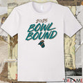 Coastal Carolina Chanticleers Football NCAA 2025 Bowl Bound t-shirt