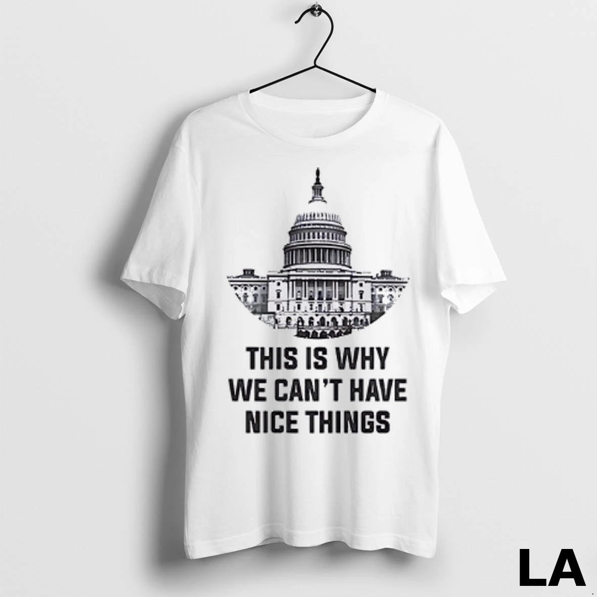 Original United States Capitol This Is Why We Cant Have Nice Things