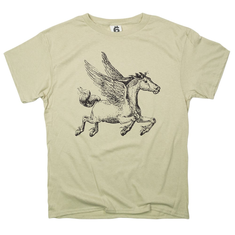 Pegasus Winged Horse Illustration