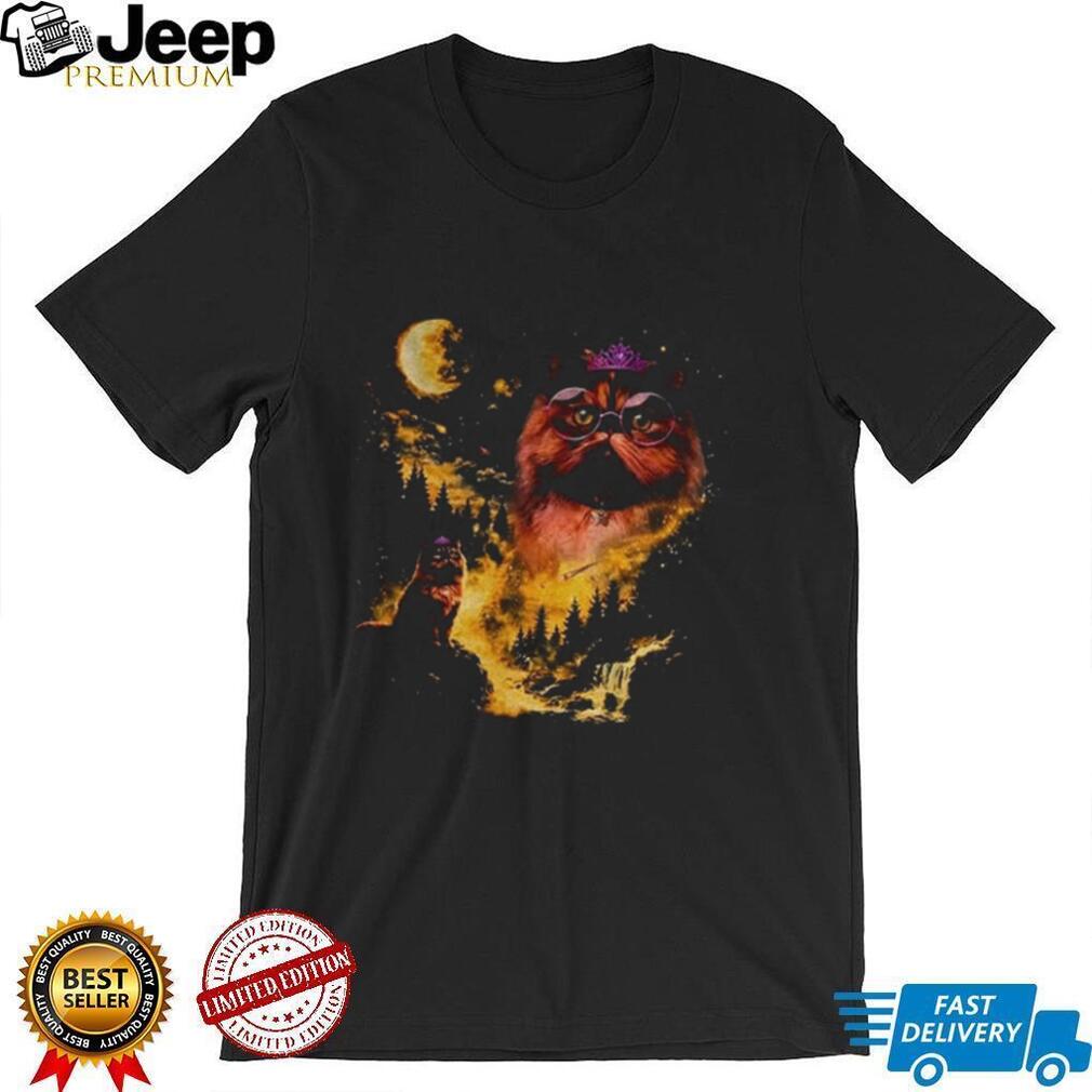 Princess Donut Approved Graphic Geeky Cat Lover Moon graphic shirt