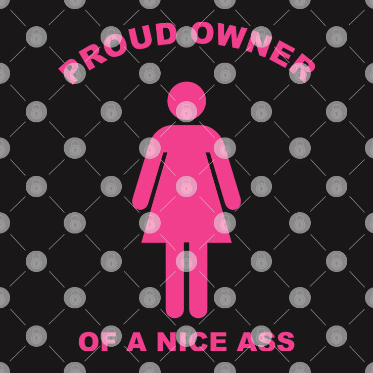 Proud Owner Of A Nice Ass T Shirt