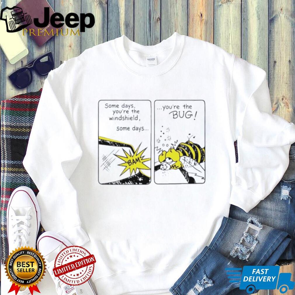 Some Days You Are the Windshield Some Days You Are the Bug shirt