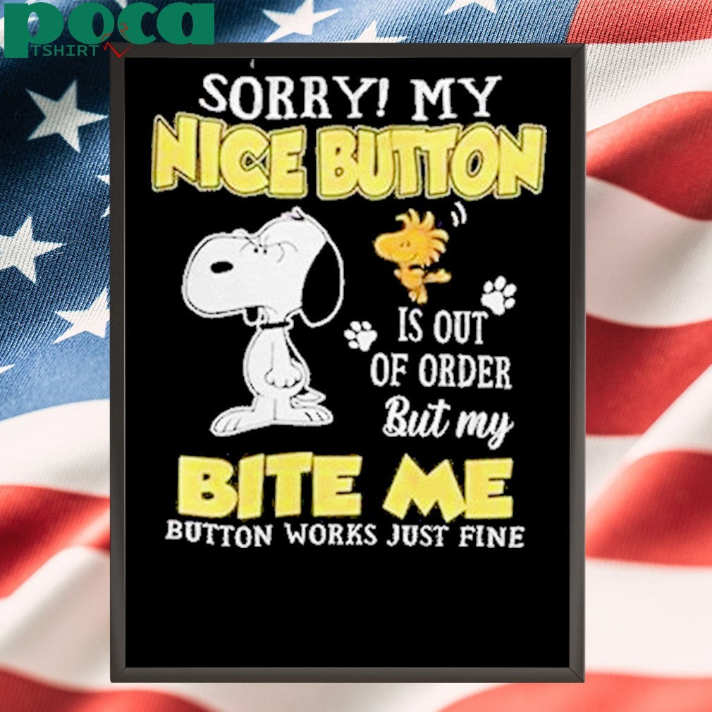 Sorry My Nice Button Is Out Of Order Shirt