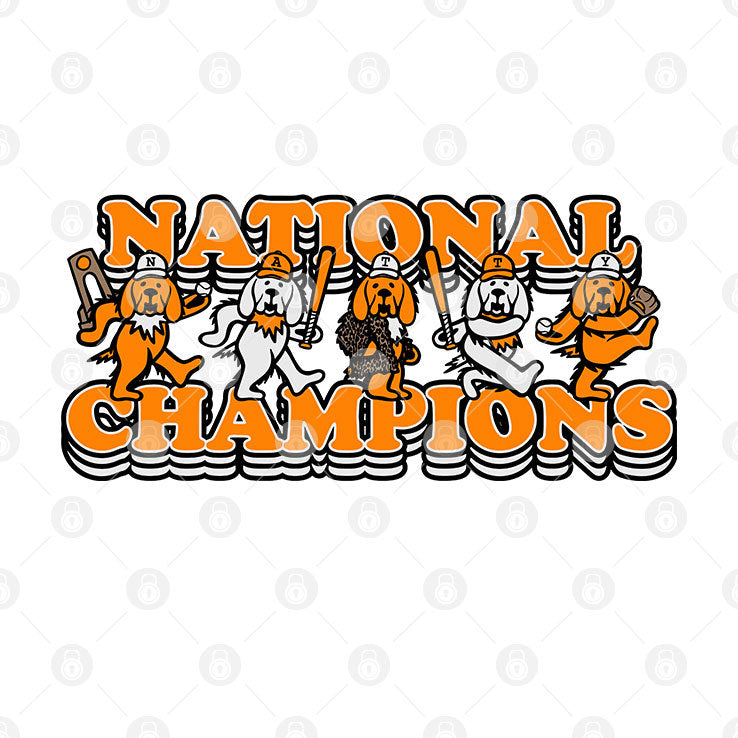 Tennessee Volunteers National Champions T Shirt