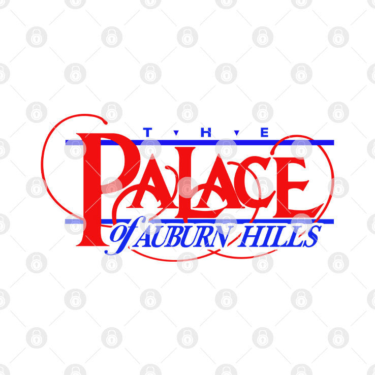 The Palace of Auburn Hills T Shirt
