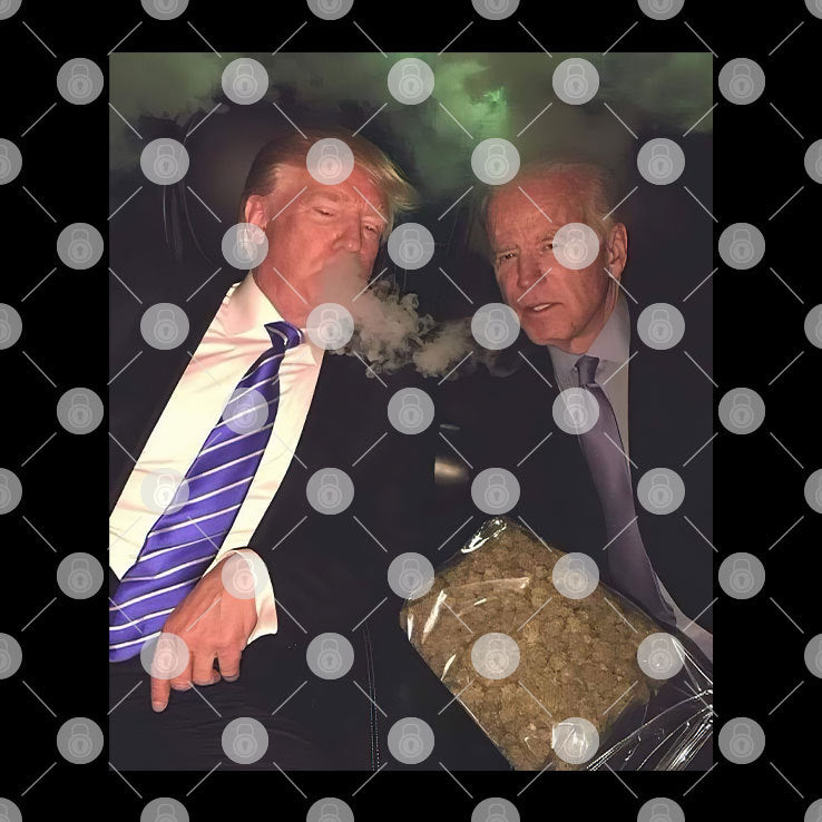 Trump And Biden Smoking Weed Shirt