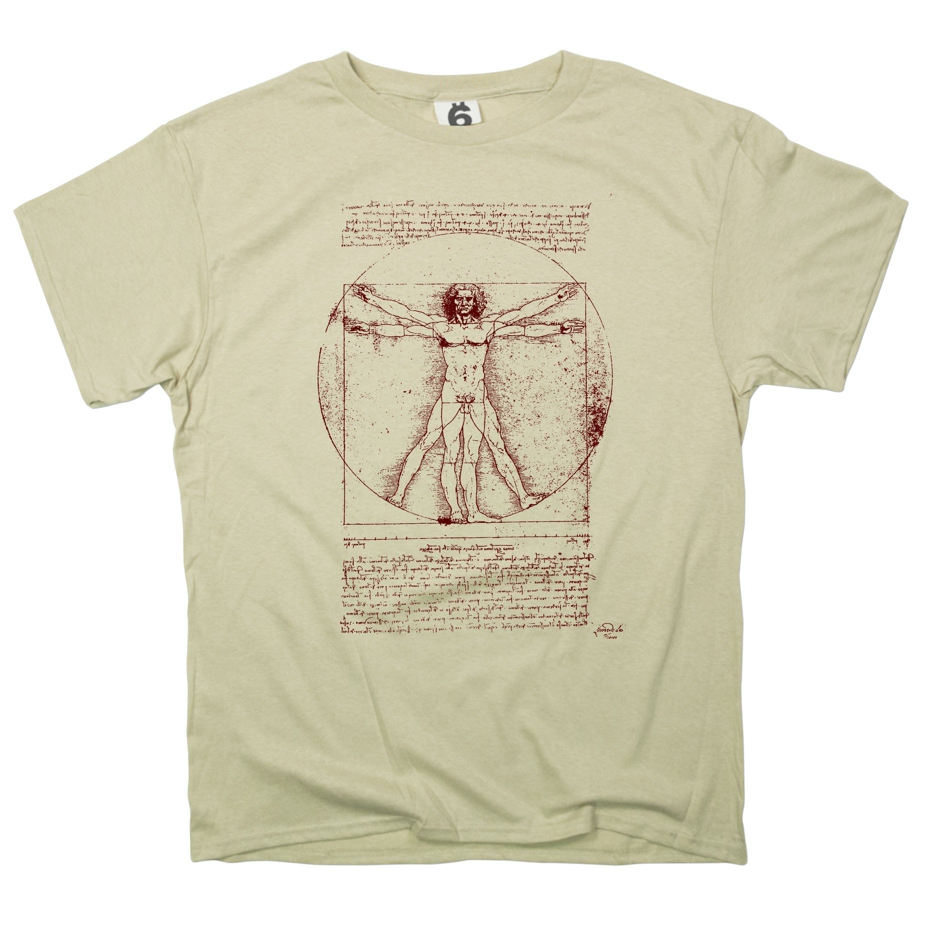 The Vitruvian Man Da Vinci Anatomy Sketch