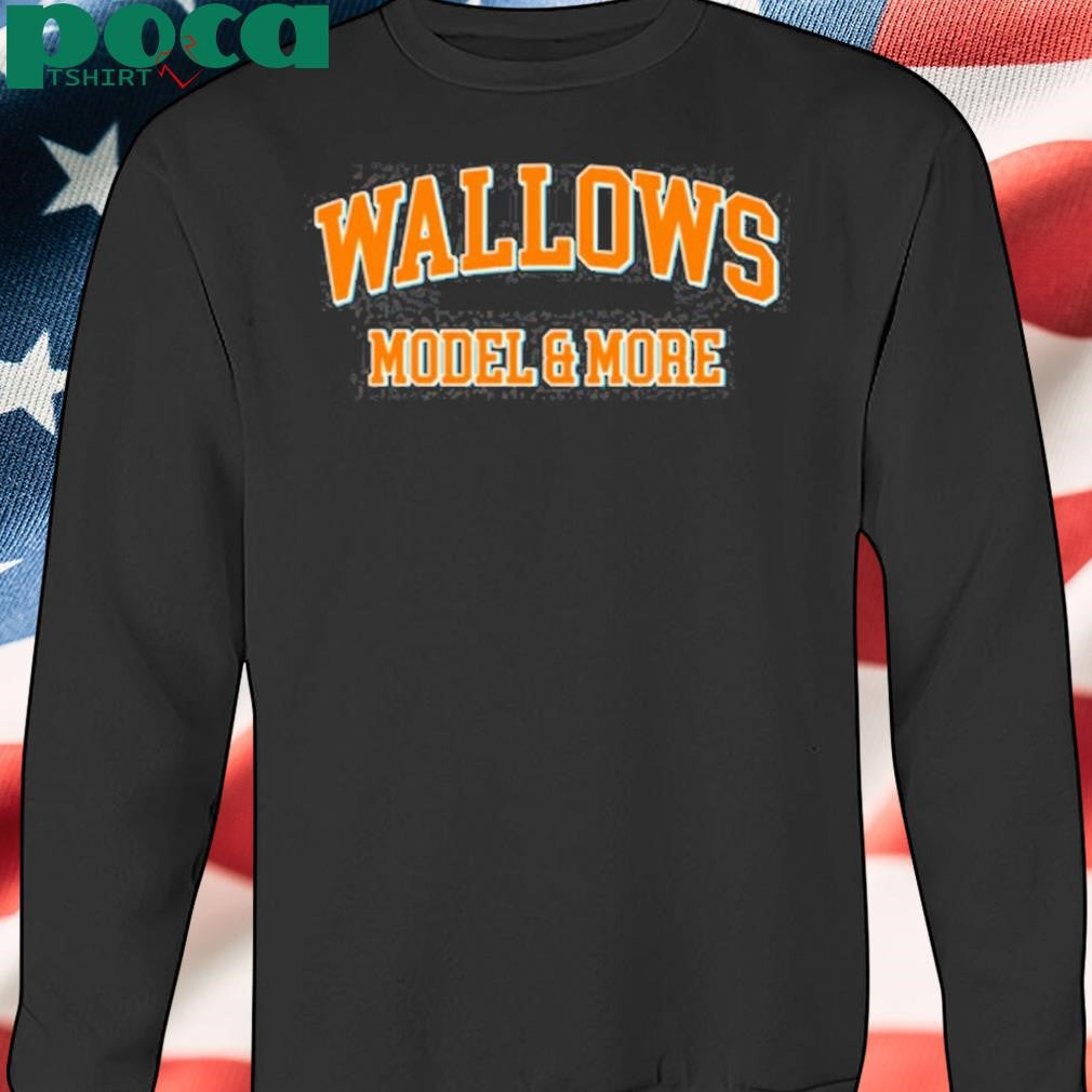 Wallows Model & More T Shirt