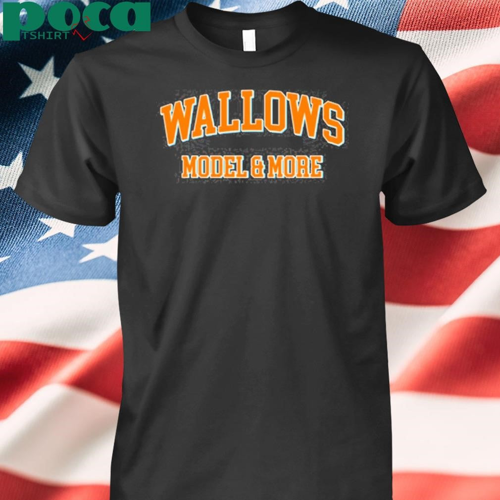 Wallows Model & More T Shirt