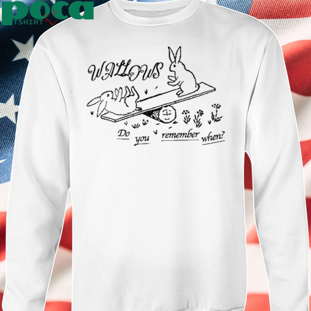 Wallows Remember When Shirt