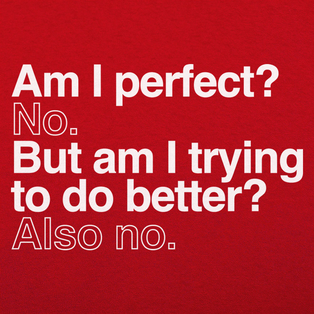 Am I Perfect? No, But Am I Trying to Do Better? Also No