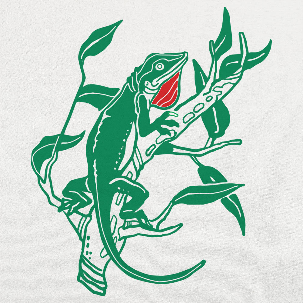 Anole Lizard Illustration
