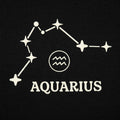 Aquarius Constellation Zodiac Star Sign