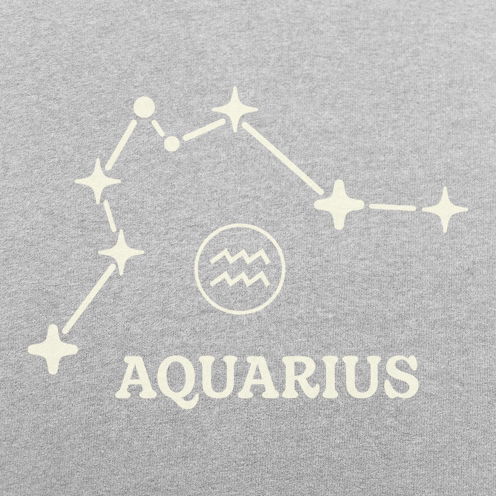 Aquarius Constellation Zodiac Star Sign