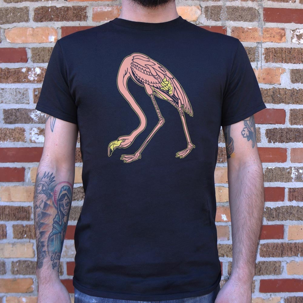 Audubon Flamingo Pink Bird Illustration