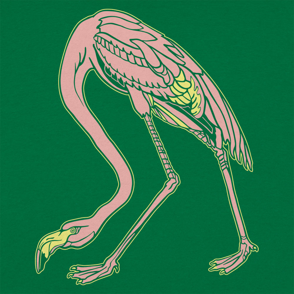 Audubon Flamingo Pink Bird Illustration