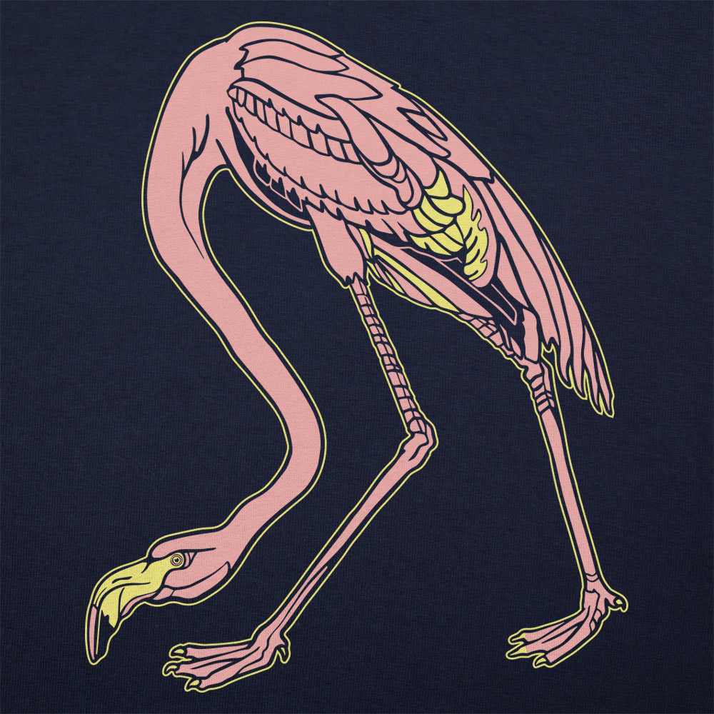 Audubon Flamingo Pink Bird Illustration