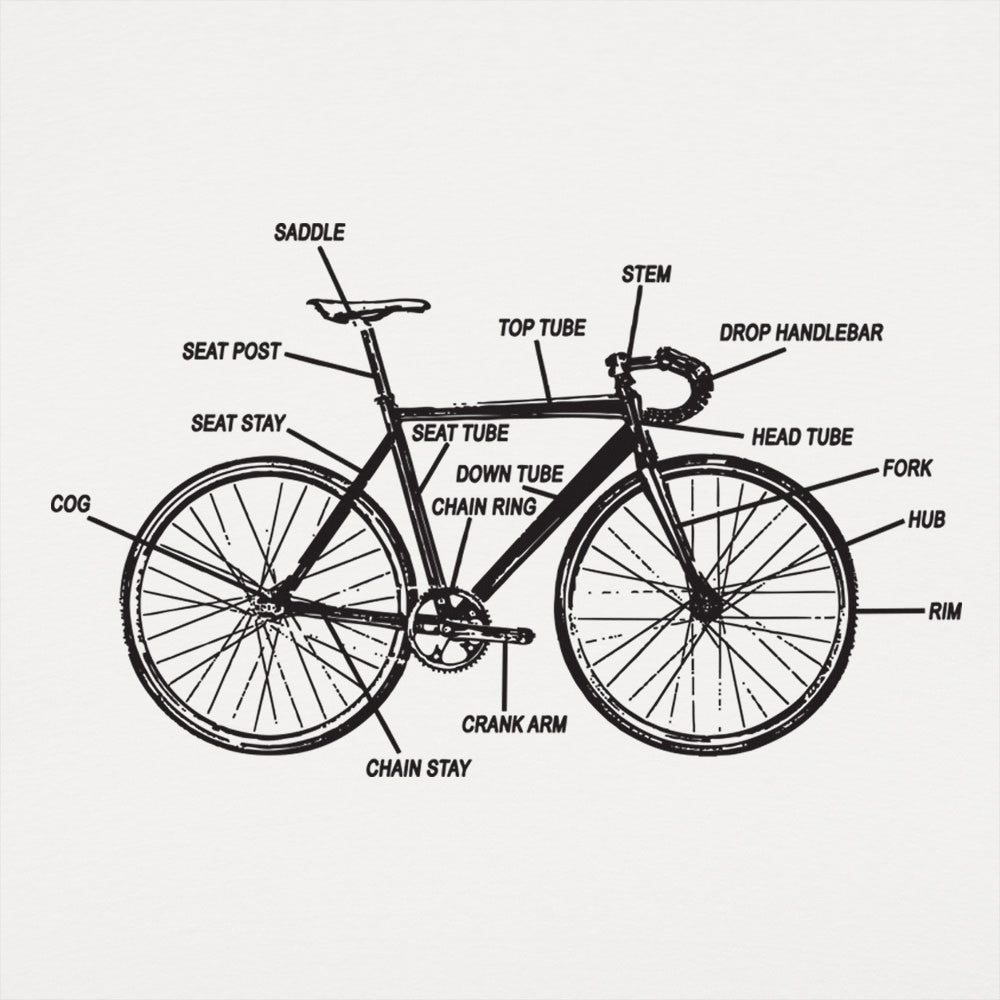 Bike Anatomy Diagram Fixed Gear Bicycle Parts Chart