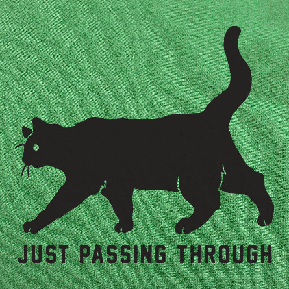 Black Cat Crossing Just Passing Through Superstition Design