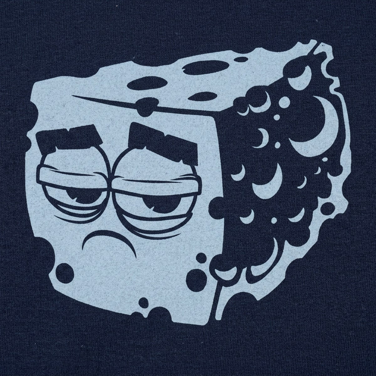 Blue Cheese Sad Wedge of Cheese with Mold Face