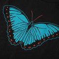 Blue Morpho Butterfly