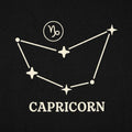 Capricorn Constellation Zodiac Star Sign