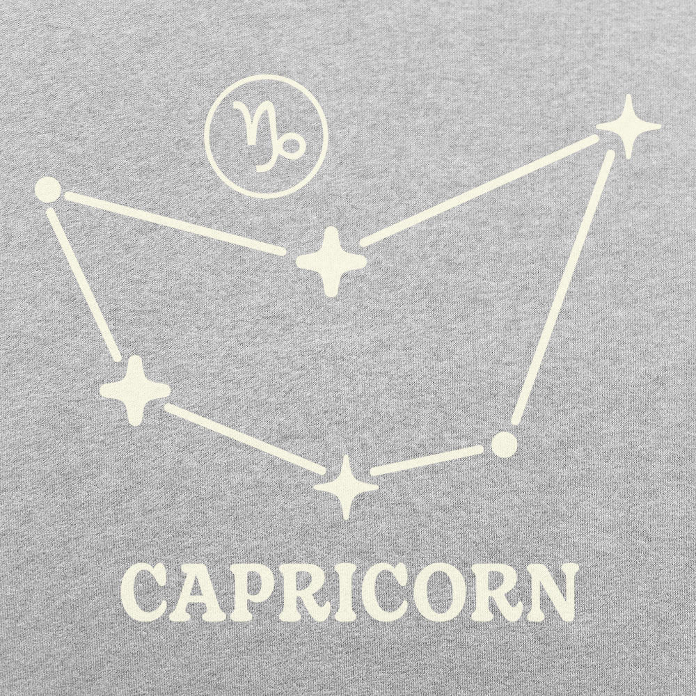 Capricorn Constellation Zodiac Star Sign
