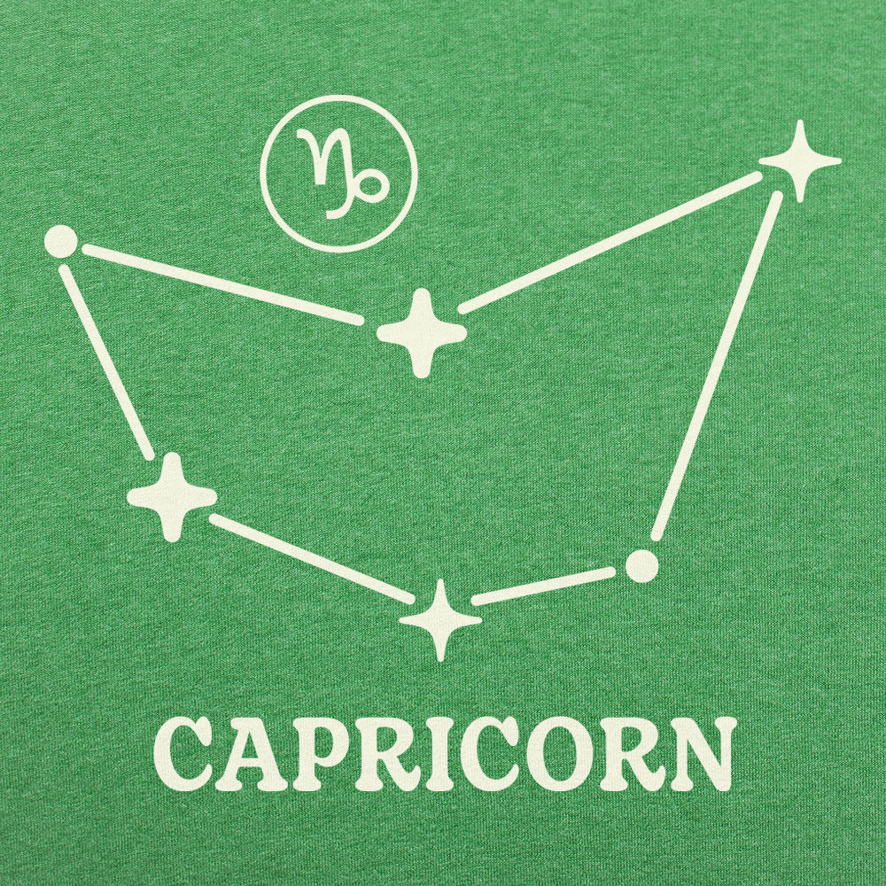Capricorn Constellation Zodiac Star Sign