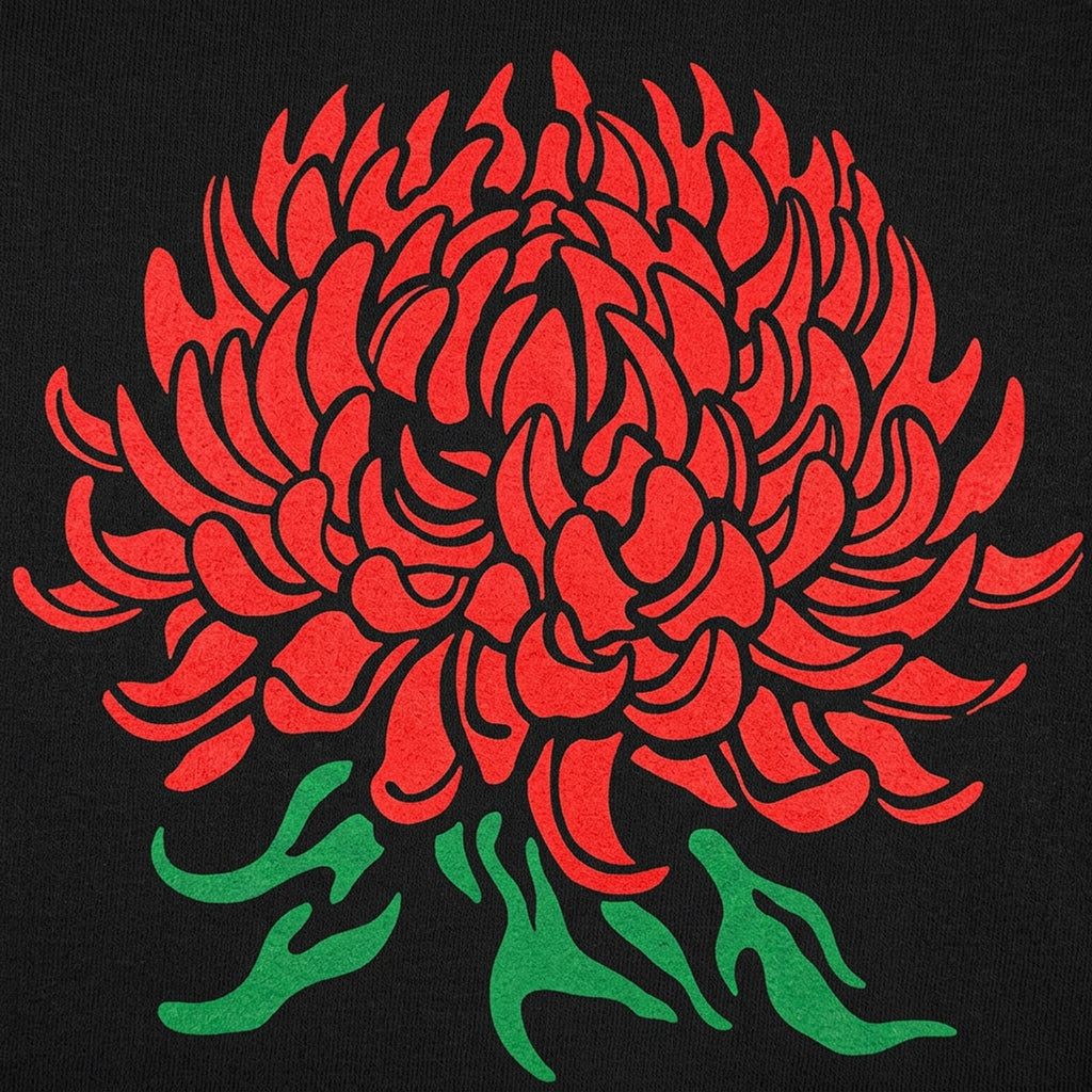 Chrysanthemum Botanical Illustration