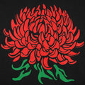 Chrysanthemum Botanical Illustration