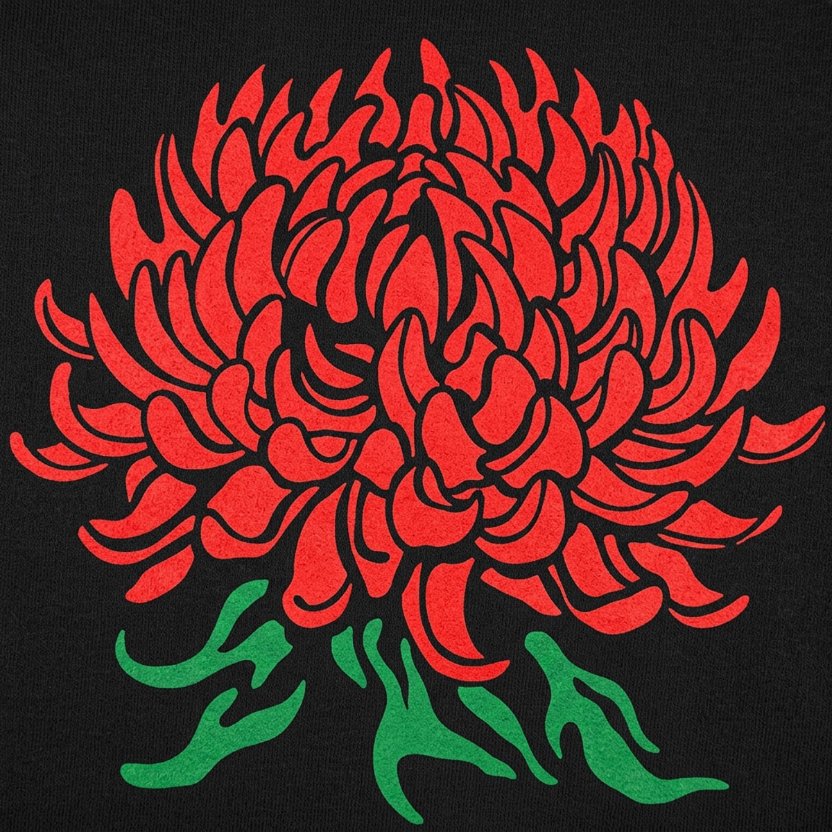 Chrysanthemum Botanical Illustration