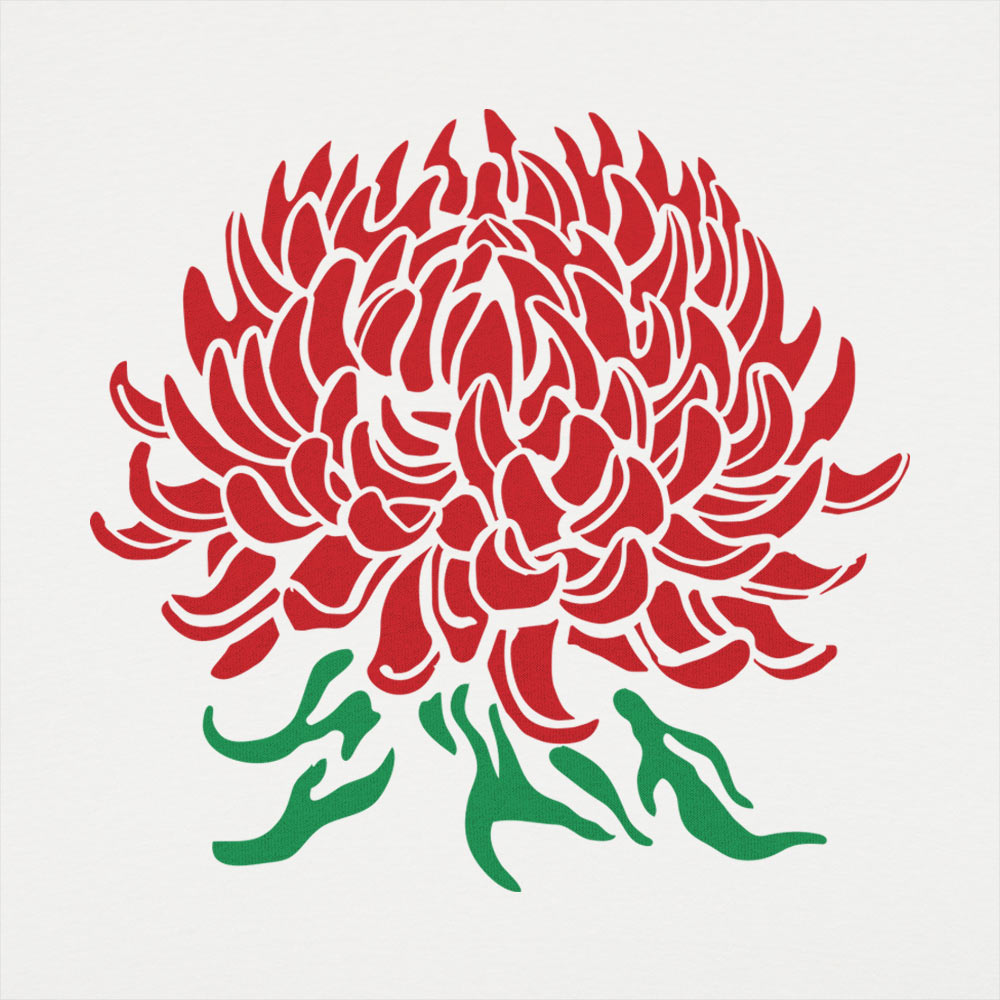 Chrysanthemum Botanical Illustration